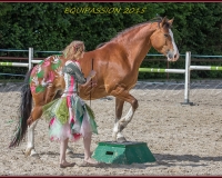 1-13JUIN 0872